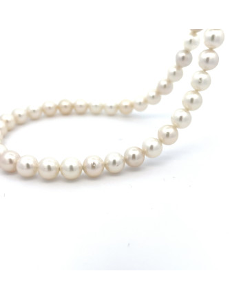 6mm+ jewel  grade South Sea pearl, Indonesia