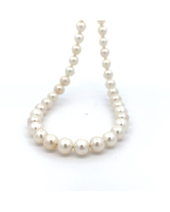 6mm+ jewel  grade South Sea pearl, Indonesia