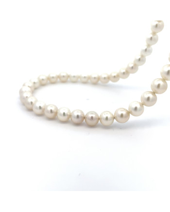 6mm+ jewel  grade South Sea pearl, Indonesia