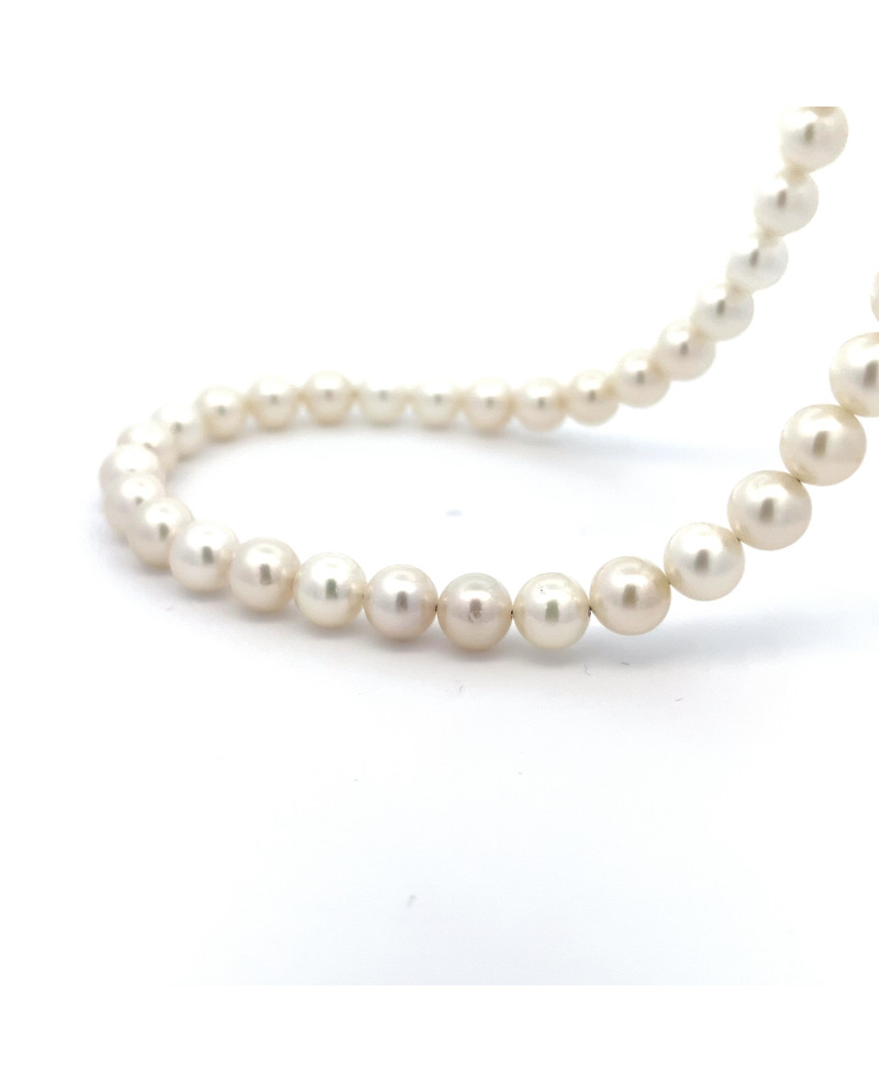 6mm+ jewel  grade South Sea pearl, Indonesia