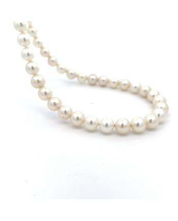 6mm+ jewel  grade South Sea pearl, Indonesia