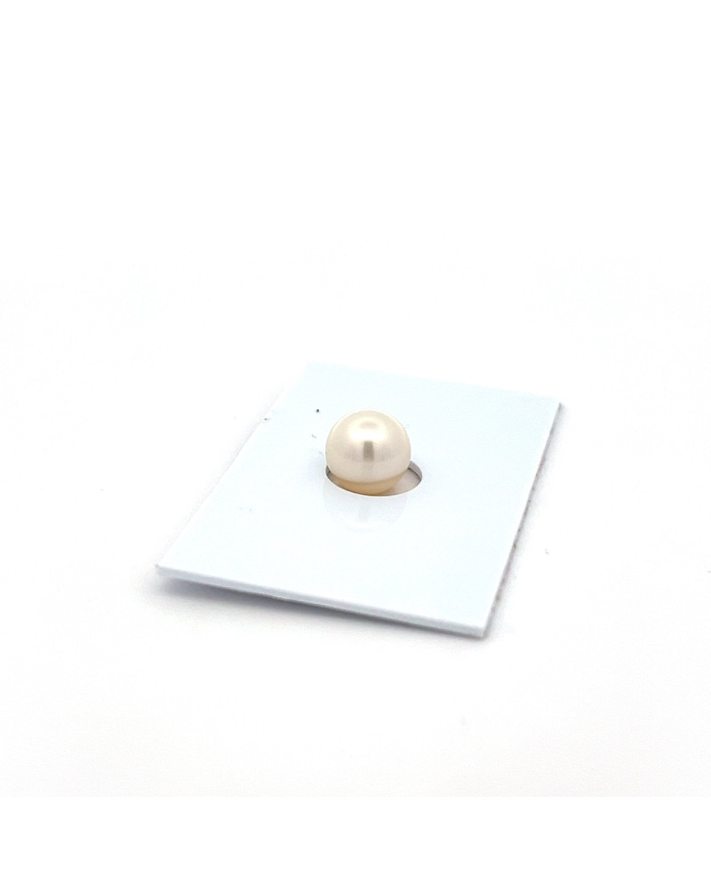 6mm+ fine  grade South Sea pearl, Indonesia