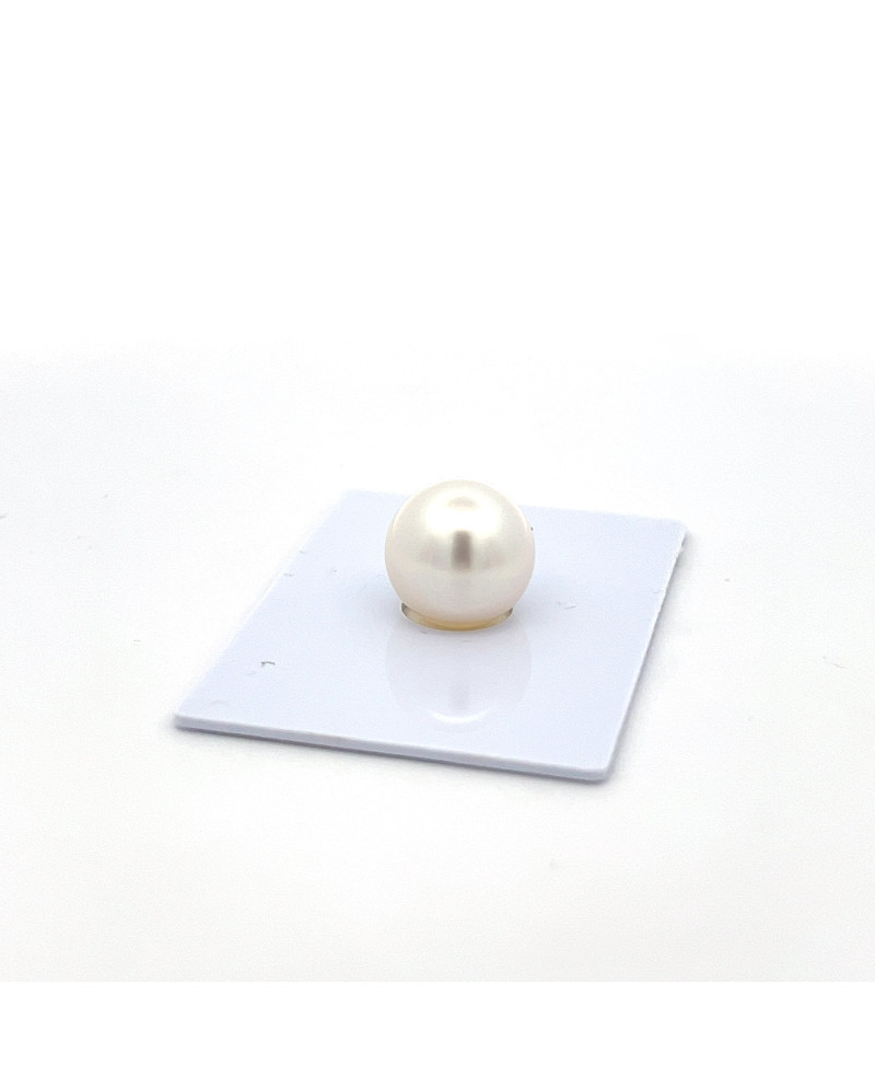 9mm+ gem  grade South Sea pearl, Australia