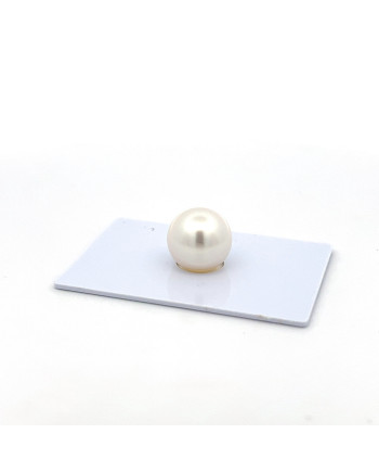 9mm+ gem  grade South Sea pearl, Australia