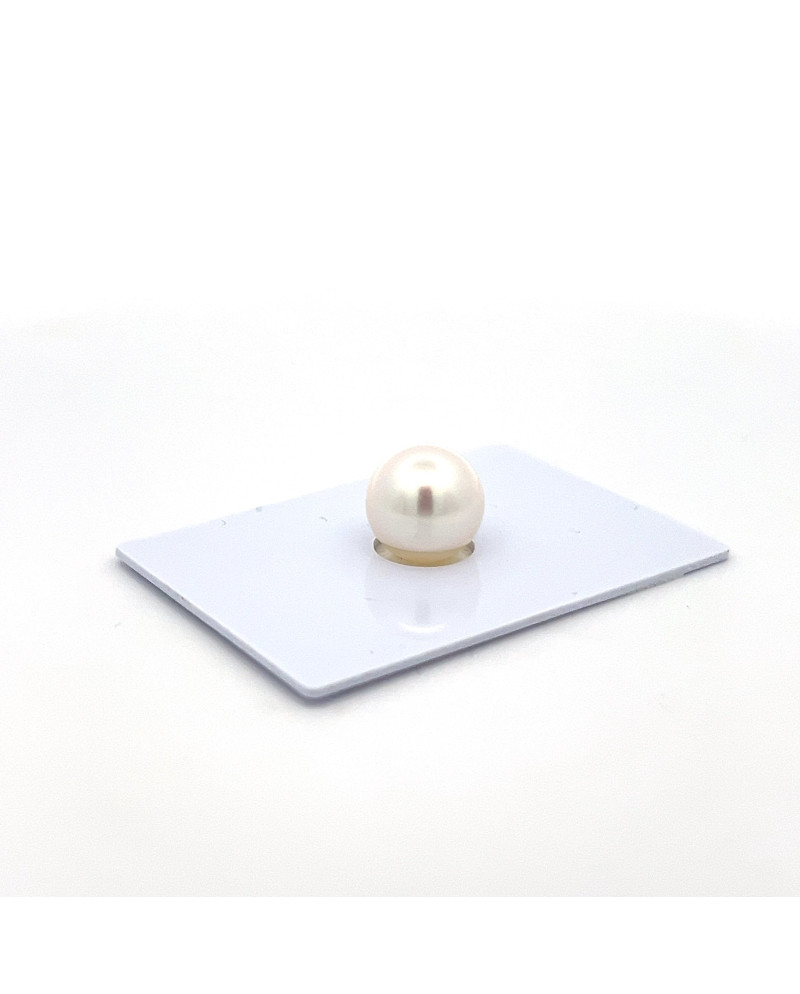 9mm+ gem  grade South Sea pearl, Australia