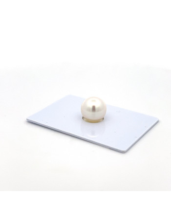 9mm+ gem  grade South Sea pearl, Australia