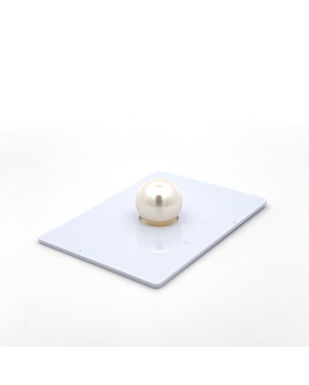 9mm+ gem  grade South Sea pearl, Australia