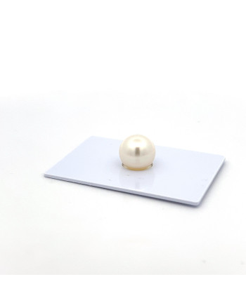 9mm+ gem  grade South Sea pearl, Australia