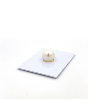 9mm+ gem  grade South Sea pearl, Australia