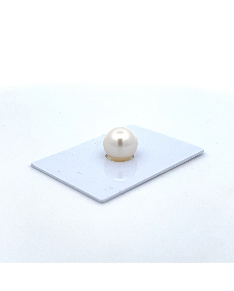 9mm+ gem  grade South Sea pearl, Australia