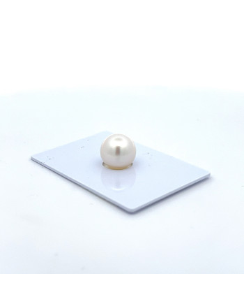 9mm+ gem  grade South Sea pearl, Australia