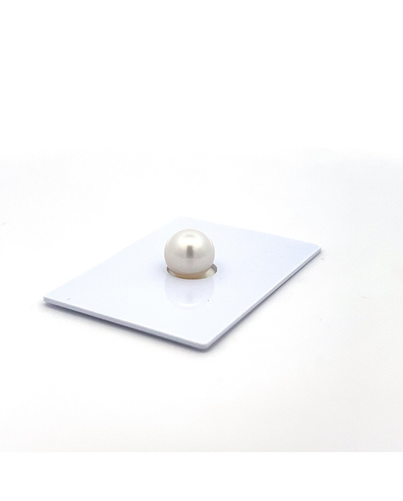 9mm+ gem  grade South Sea pearl, Australia
