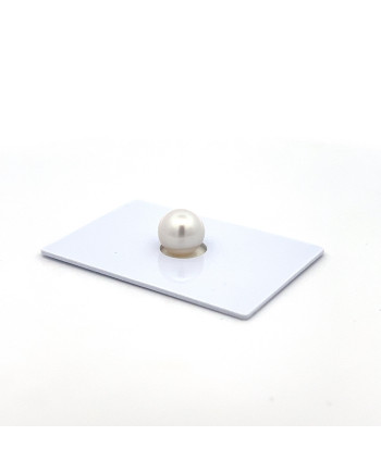 9mm+ gem  grade South Sea pearl, Australia