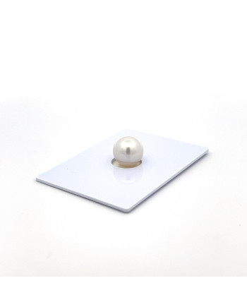 9mm+ gem  grade South Sea pearl, Australia