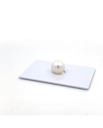 9mm+ fine  grade South Sea pearl, Australia