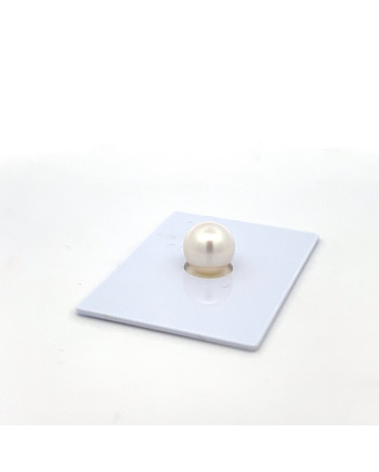 9mm+ fine  grade South Sea pearl, Australia