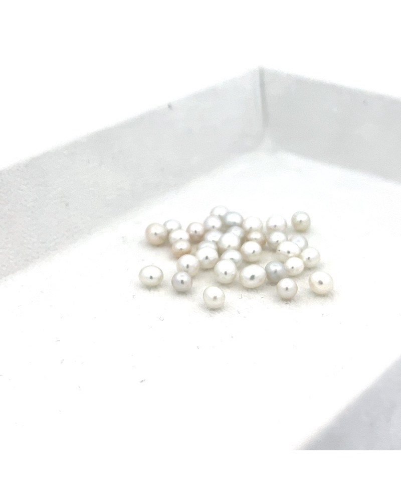 3mm+ gem  grade South Sea pearl, Australia