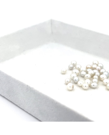 3mm+ gem  grade South Sea pearl, Australia