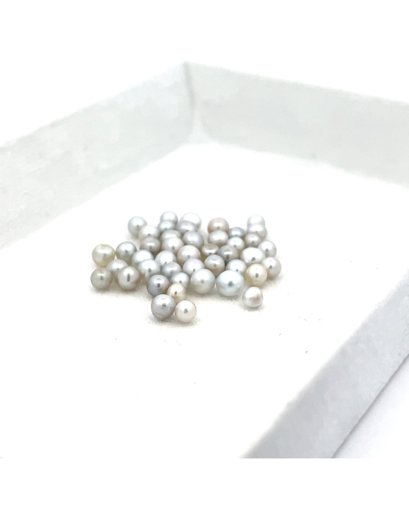 3mm+ gem  grade South Sea pearl, Australia