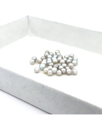 3mm+ gem  grade South Sea pearl, Australia