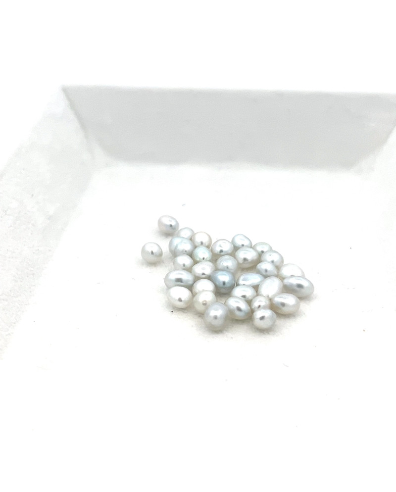 3mm+ fine  grade South Sea pearl, Australia