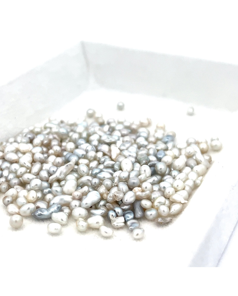 Under 4mm jewel  grade South Sea pearl, Australia