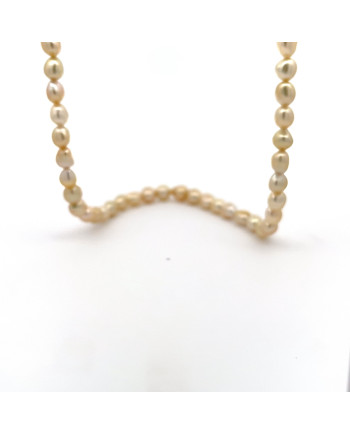 6mm+ fine  grade South Sea pearl, Indonesia