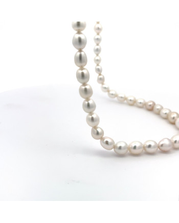 6mm+ fine  grade South Sea pearl, Indonesia