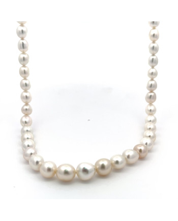 6mm+ fine  grade South Sea pearl, Indonesia