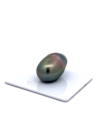 12mm+ fine  grade Tahitian Black pearl, French Polynesia  