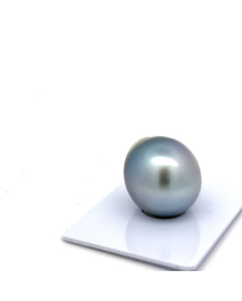 15mm+ fine  grade Tahitian Black pearl, French Polynesia  