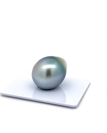 15mm+ fine  grade Tahitian Black pearl, French Polynesia  