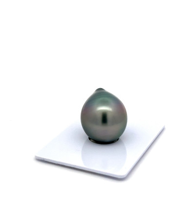 15mm+ fine  grade Tahitian Black pearl, French Polynesia  