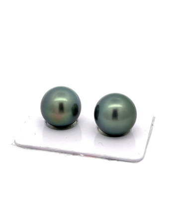 12mm+ fine  grade Tahitian Black pearl, French Polynesia  