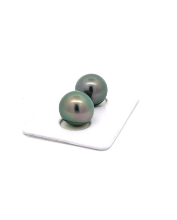 9mm+ fine  grade Tahitian Black pearl, French Polynesia  