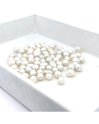 3mm+ gem  grade South Sea pearl, Indonesia