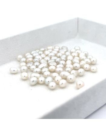 3mm+ gem  grade South Sea pearl, Indonesia