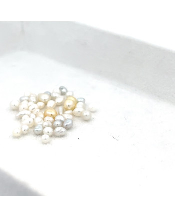 3mm+ jewel  grade South Sea pearl, Indonesia