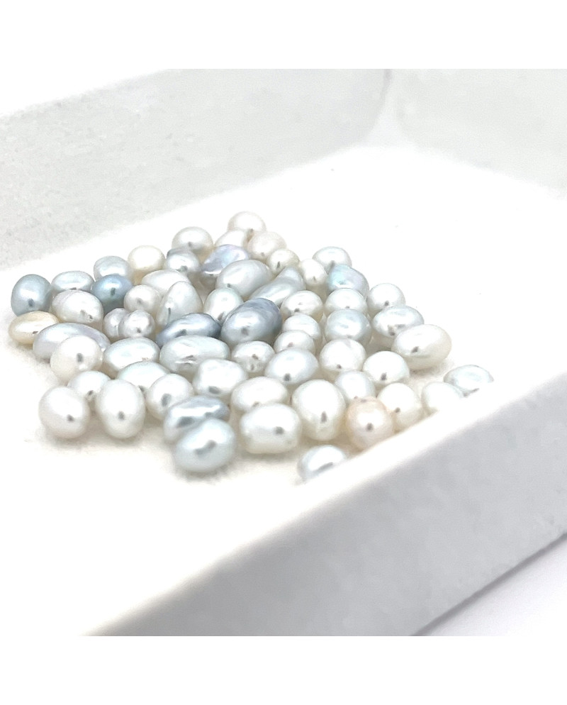 3mm+ gem  grade South Sea pearl, Australia