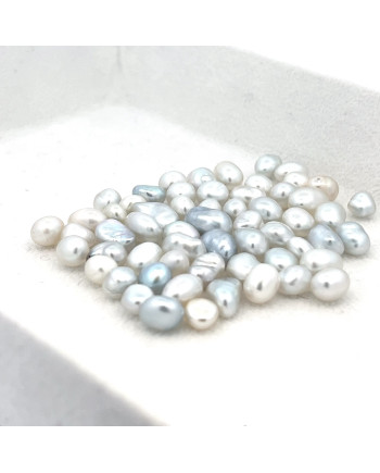 3mm+ gem  grade South Sea pearl, Australia