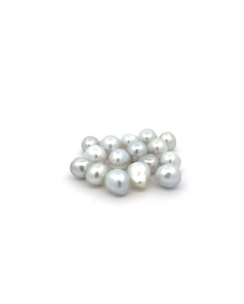 9mm+ fine  grade South Sea pearl, Indonesia