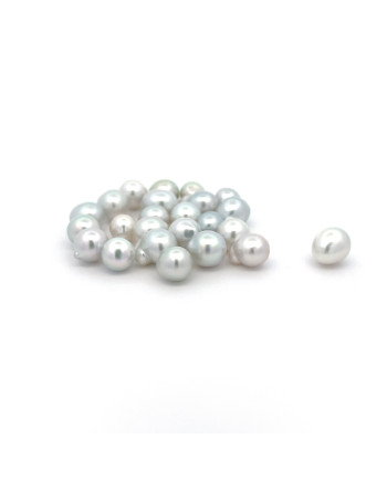 6mm+ fine  grade South Sea pearl, Indonesia