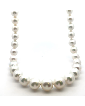 9mm+ fine  grade South Sea pearl, Indonesia