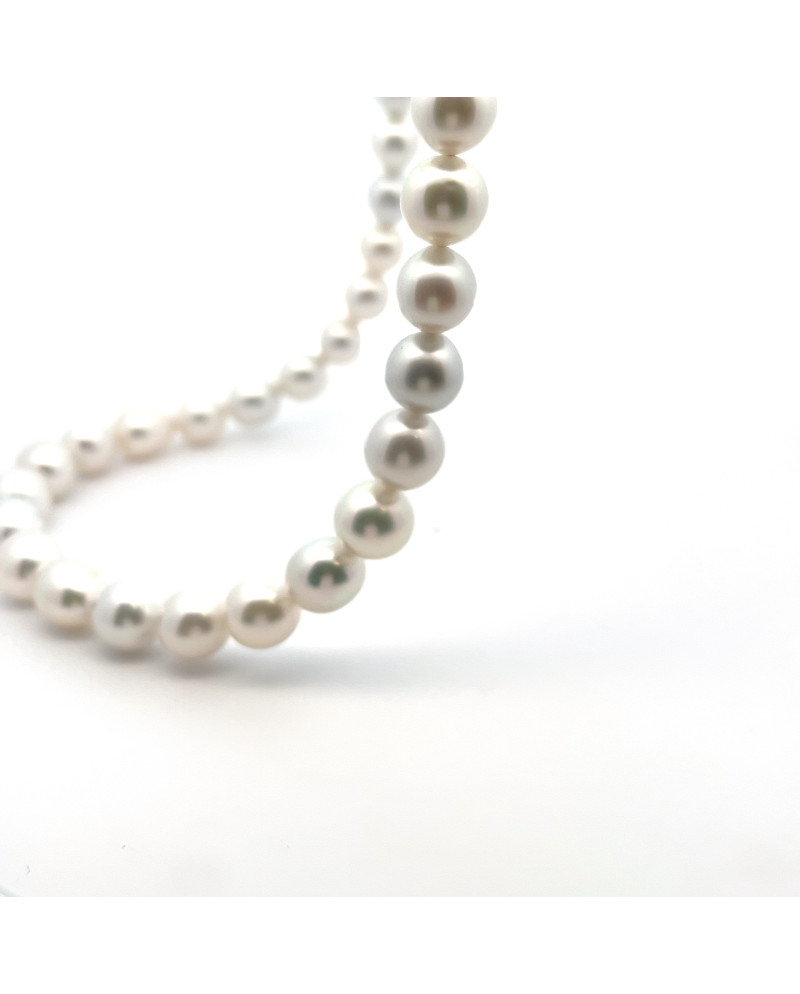9mm+ fine  grade South Sea pearl, Indonesia