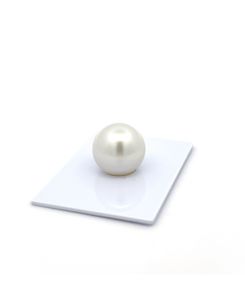 15mm+ gem  grade South Sea pearl, Indonesia