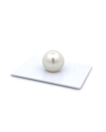 15mm+ gem  grade South Sea pearl, Indonesia