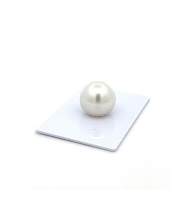 15mm+ gem  grade South Sea pearl, Indonesia