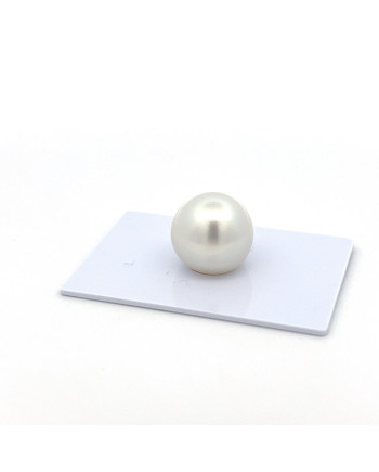 15mm+ gem  grade South Sea pearl, Indonesia