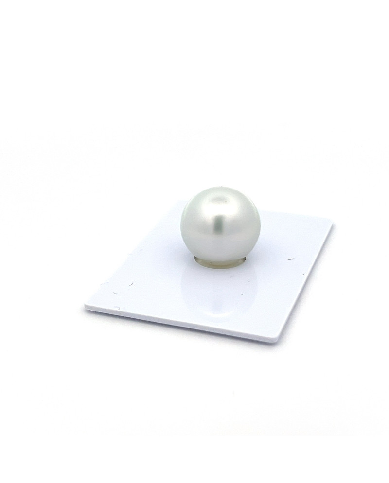 15mm+ fine  grade South Sea pearl, Indonesia
