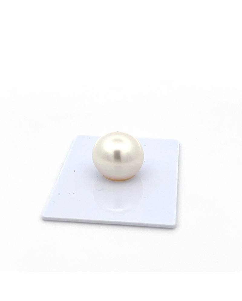 12mm+ gem  grade South Sea pearl, Indonesia